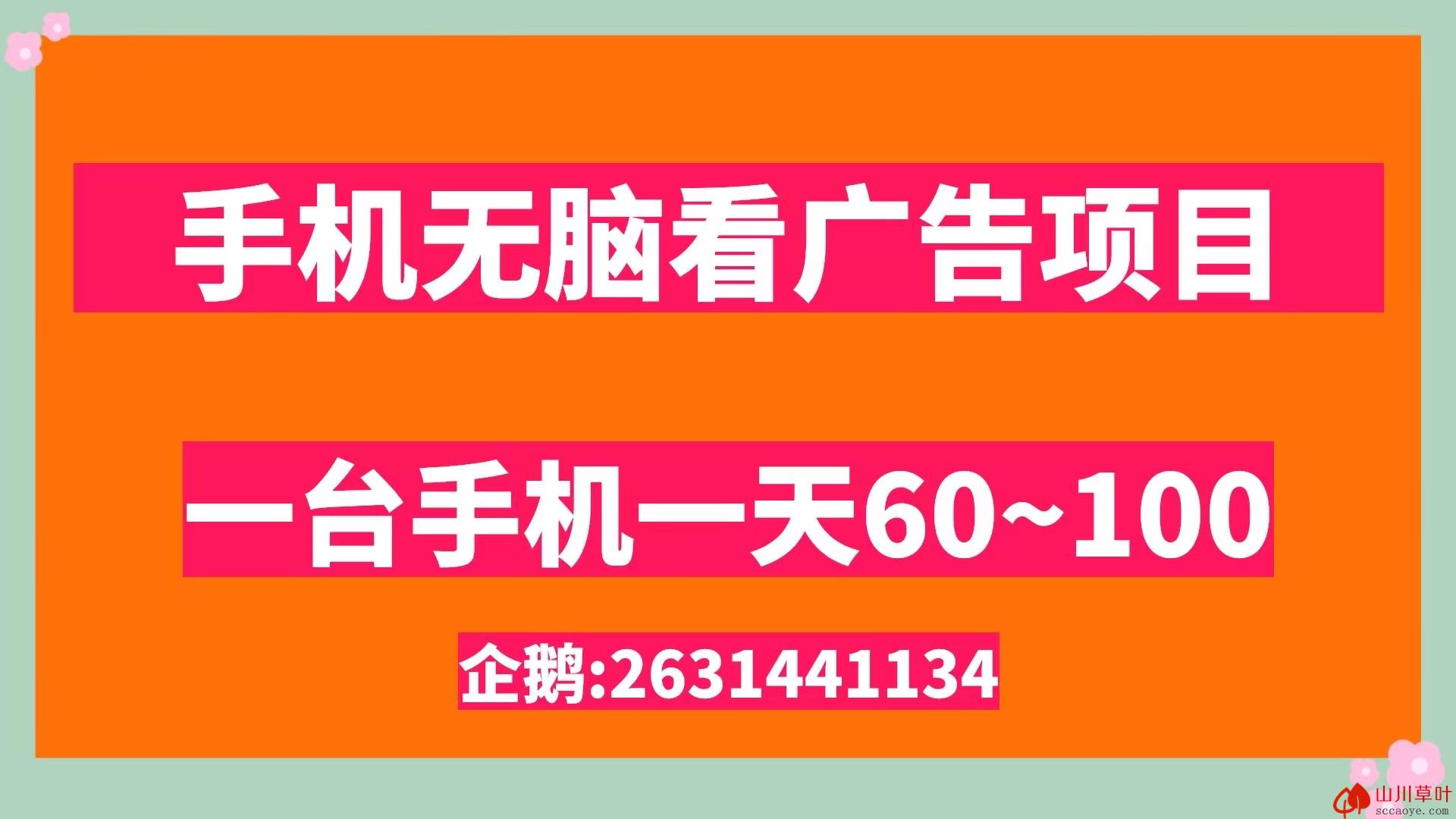 无脑看广告撸收益单机50~100有手机就能做