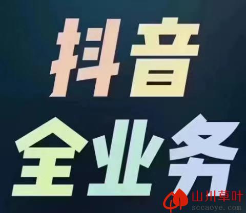 什么项目只需要一点零碎的时间便可让你拥有可观的收入-支点抖音黑科技！