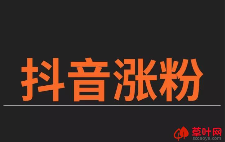 支点抖音黑科技兵马俑主站：做到这点，涨粉简直不是问题，抖音涨粉机密全公开！