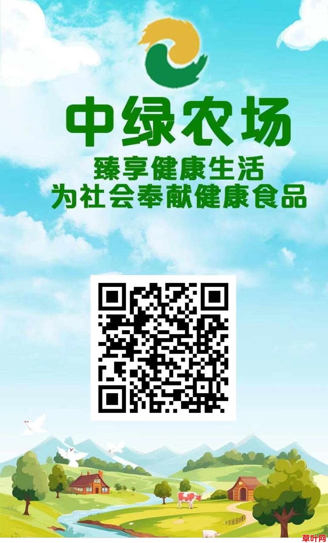 中绿农场 ：刚刚上线一秒，注册就送666有机菠菜，全民养菜，一个月稳定吃肉，提现秒到，