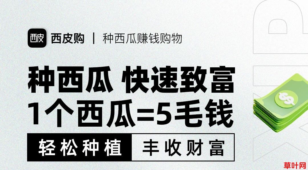 西皮购：0投入种西瓜赚米！每日三分钟，每月多收入5000+！