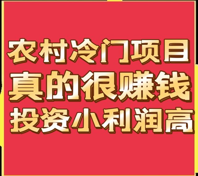 赚钱发家致富的小说，赚钱发家致富