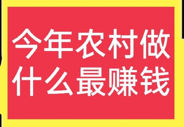 做什么行业赚钱，经济不行做什么行业赚钱