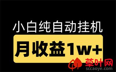 中超最新积分榜，中超最新积分榜2023年