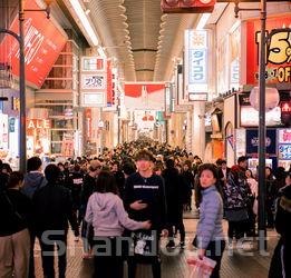 成都女装加盟店免费铺货，成都女装加盟店在哪里